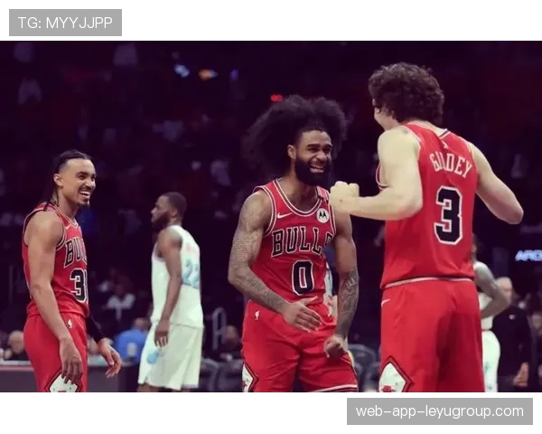 公牛队全员奋战，未来无限可能，公牛队现状