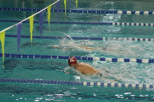 乐鱼体育官网登录-世界游泳锦标赛中国队再创佳绩，泳池之王再添金牌，世界游泳锦标赛冠军名录